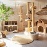 Top 5 des meilleures pensions pour chats en France en 2026 : Comparatif complet